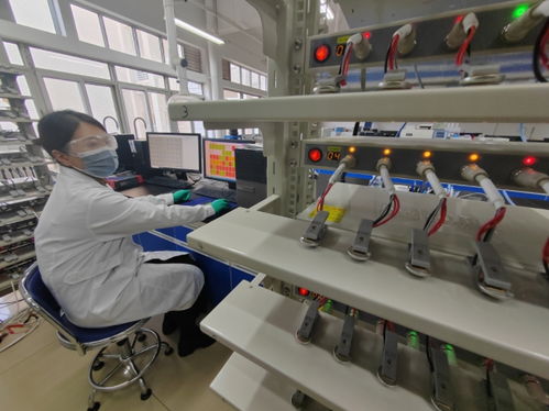 中國(guó)首創(chuàng)！洛陽(yáng)牡丹殼變廢為寶，開啟鈉電池負(fù)極材料新紀(jì)元