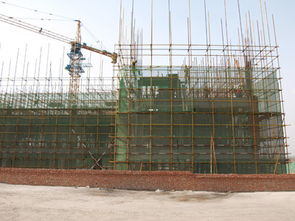 新校建設(shè)施工現(xiàn)場 系列圖片報道之一