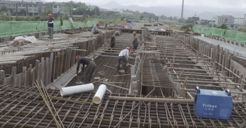 重點項目建設(shè)巡禮 新豐大橋重建工程項目建設(shè)有序推進(jìn)