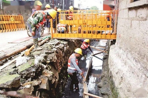 真好啊 金溪引水工程建設項目竣工后將實現渠道水系水體不黑臭