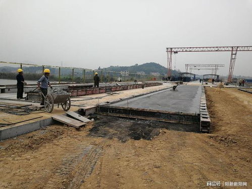 陽新新聞丨王建華現場督辦203省道改建工程項目建設