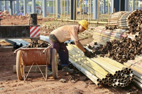 遂寧高新區西部鐵路物流園農產品集散中心及配套設施建設錯時施工避高溫安全進度兩不誤