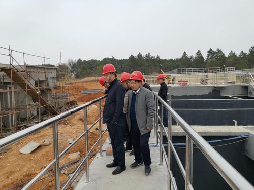 彭新軍調研經開區污水處理廠工程建設情況