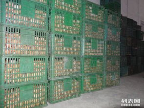 大型保鮮冷庫工程安裝公司建一萬立方雞蛋保鮮冷庫造價要多少